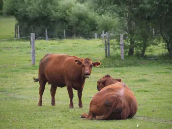 Ferme de la Planche (Blote voeten pad) (België)